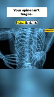Backology 101 Crash Course
Your spine isn’t weak. It’s incredibly resilient. But it does follow rules. And if you don’t understand those rules, you’ll keep making the same small mistakes over and over until something finally gives.
That’s not bad luck. That’s cumulative error.
I’ll take the blame on this too. For a long time, I skipped the basics and went straight into advanced concepts. But without a foundation, none of it actually sticks.
This is Backology 101. The foundation most people are missing.
To watch the full video, click the link below, the link in bio, or the link on my story!
https://www.powerrackstrength.com/backology-101-lower-back-basics/
#BackPainRelief #SpineHealth #StrengthTraining #InjuryRecovery #TrainSmart