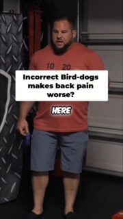 The bird dog isn’t a magic fix for back pain. It’s a tool to build posterior core stability. But if you’re cranking your leg up and getting that motion from your lower back instead of your hip, you’re not helping yourself… you’re making it worse.
You’re picking the scab.
The goal is simple: keep the spine locked in and move through the hips. That’s how you actually build a resilient core that protects your back instead of irritating it.
Same thing carries over to your side planks. Don’t just get into position and hope for the best. Brace first. Push out 360°, lock the torso in, then move. Drive your tricep and lat into the ground and own the position.
And if you really want to level this up, learn how to breathe.
Power breathing is what allows you to maintain stiffness without losing position. Small controlled breaths while keeping pressure. Just like you would during a hard set under the bar.
This is the difference between going through the motions… and actually training your core with purpose.
To watch the full video, click the link below or the link on my story!
https://www.youtube.com/watch?v=P8YiZO3OGjk
#coretraining #backpainrelief #birddogexercise #bracing #strengthtraining